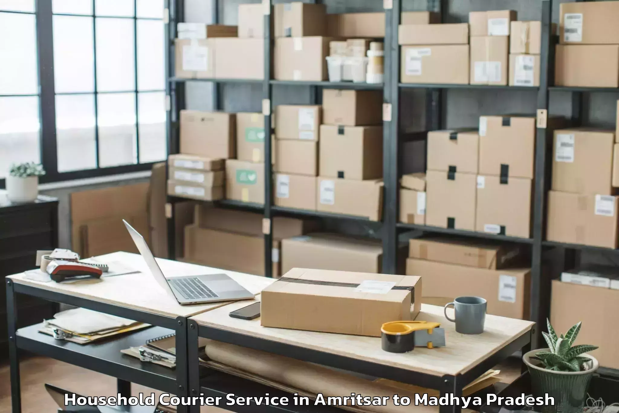 Professional Amritsar to Prithvipur Household Courier